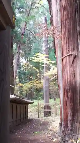 諏訪大社下社春宮(長野県)