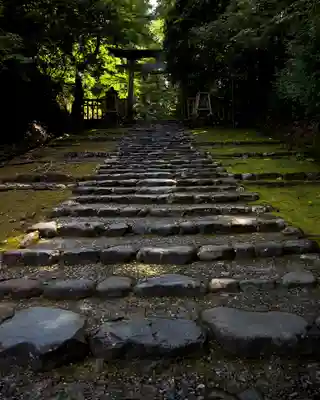 平泉寺白山神社(福井県)