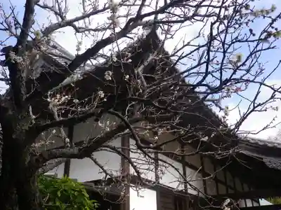 浄光明寺の本殿・本堂