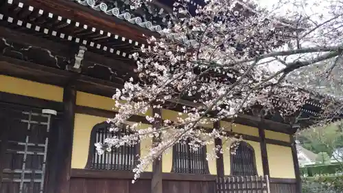 南禅寺の本殿・本堂