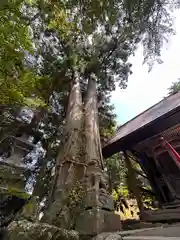 八幡神社(福井県)