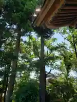 宮川神社の自然