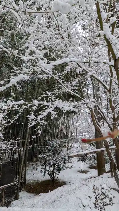 圓光寺(京都府)