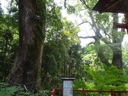 榎原神社の自然