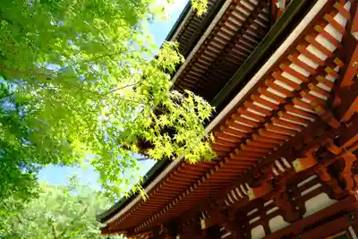 岡寺(龍蓋寺)のその他建物