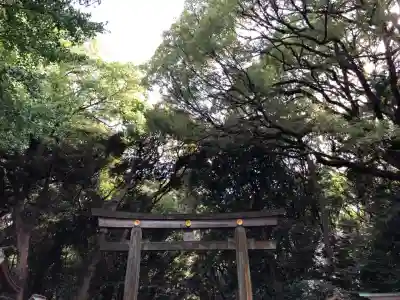 明治神宮(東京都)