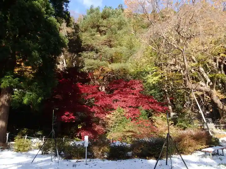函館八幡宮の自然