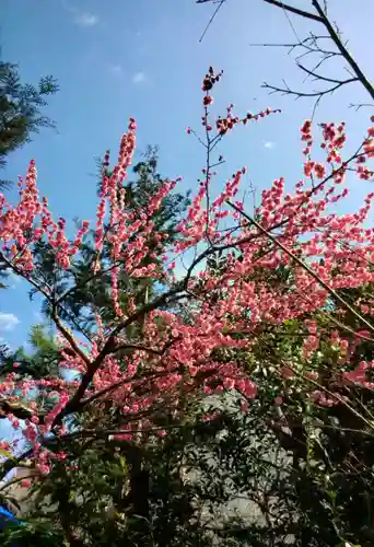 陽運寺(東京都)