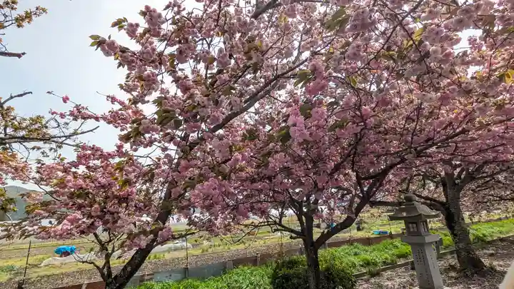 伊香具神社(滋賀県)