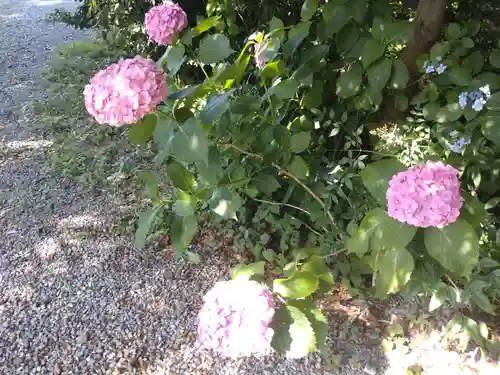 東沼神社の自然