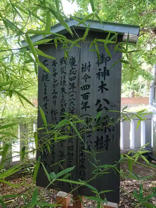 東神奈川熊野神社の歴史