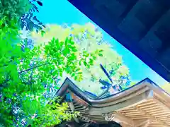 成田熊野神社の建物その他