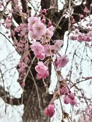 開成山大神宮(福島県)