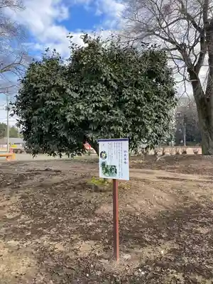 下野薬師寺 (旧 安國寺)(栃木県)