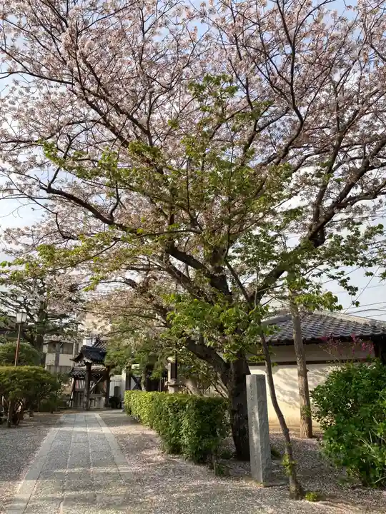本覚寺のその他建物