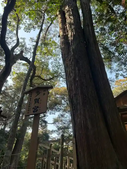 伊勢神宮外宮(豊受大神宮)の{uncategorized: "未分類", other: "その他", undefined: "問題あり", building: "その他建物", grave: "お墓", sacred_gate: "鳥居", guardian: "狛犬", statue: "像", buddha: "仏像", history: "歴史", nature: "自然", garden: "庭園", animal: "動物", pagoda: "塔", temizu: "手水舎", mountain_gate: "山門・神門", sanctuary: "本殿・本堂", subordinate: "末社・摂社", art: "芸術", scenery: "景色", jizo: "地蔵", ema: "絵馬", goshuin: "御朱印", omikuji: "おみくじ", items: "授与品その他", amulet: "お守り", goshuincho: "御朱印帳", eats: "食事", festival: "お祭り", votive_dance: "神楽", shichigosan: "七五三参", wedding: "結婚式", experience: "体験その他", initially: "初詣", around: "周辺", anti_infection: "感染症対策"}