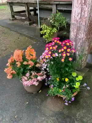 千代ケ岡八幡宮(栃木県)