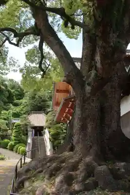 栖光院(愛知県)