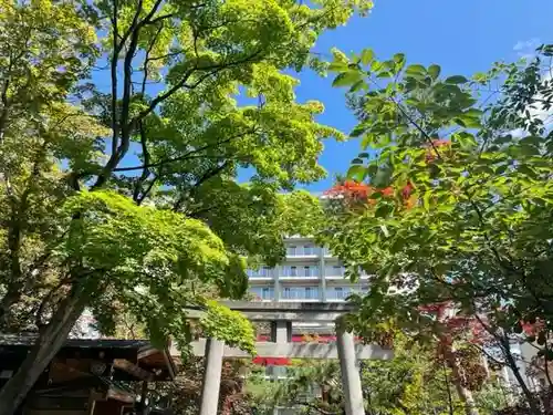 彌彦神社　(伊夜日子神社)の自然