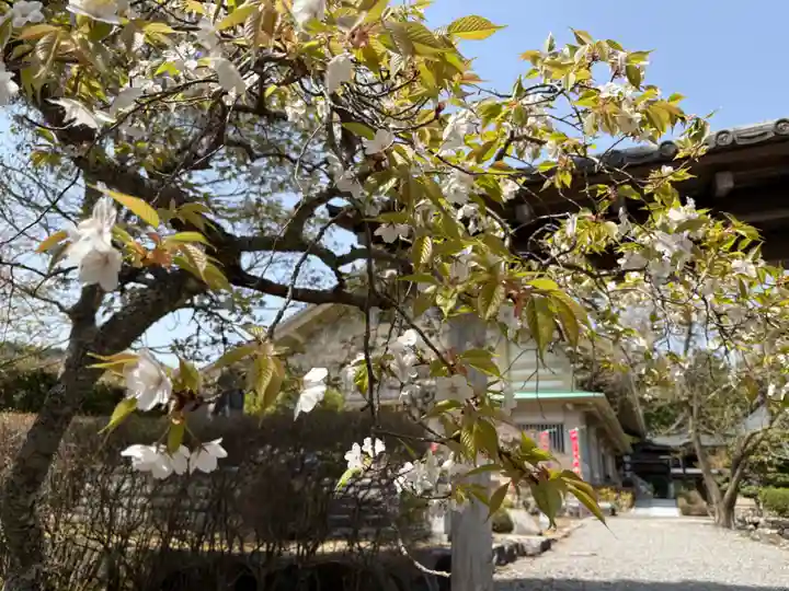 永澤寺(兵庫県)