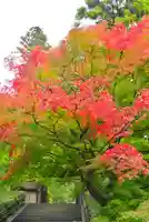 円覚寺(神奈川県)