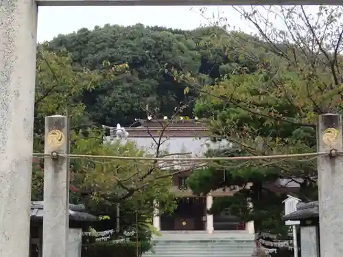 光雲神社の鳥居