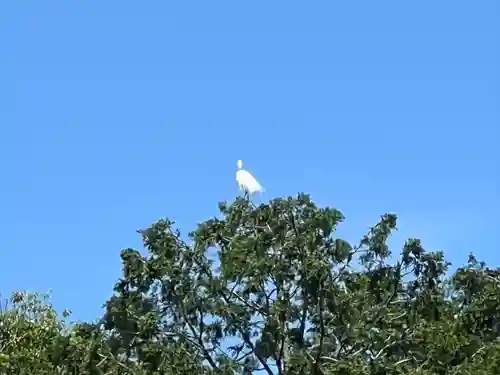 大生郷天満宮(茨城県)