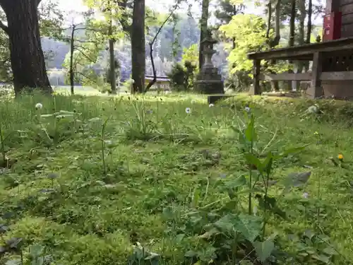 鵜羽神社の自然