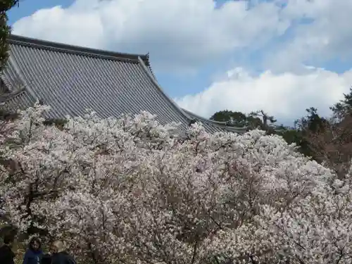 仁和寺(京都府)