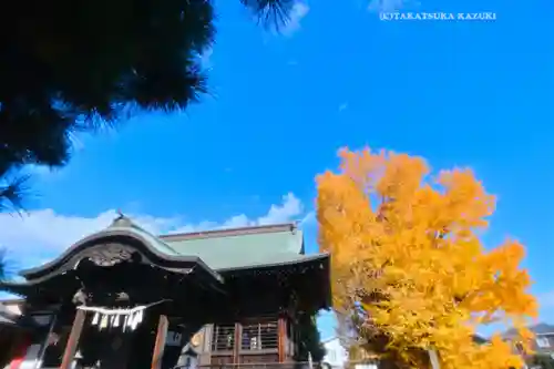 葛飾八幡宮(千葉県)