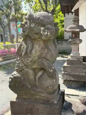 東葛西八雲神社(水神社)の狛犬