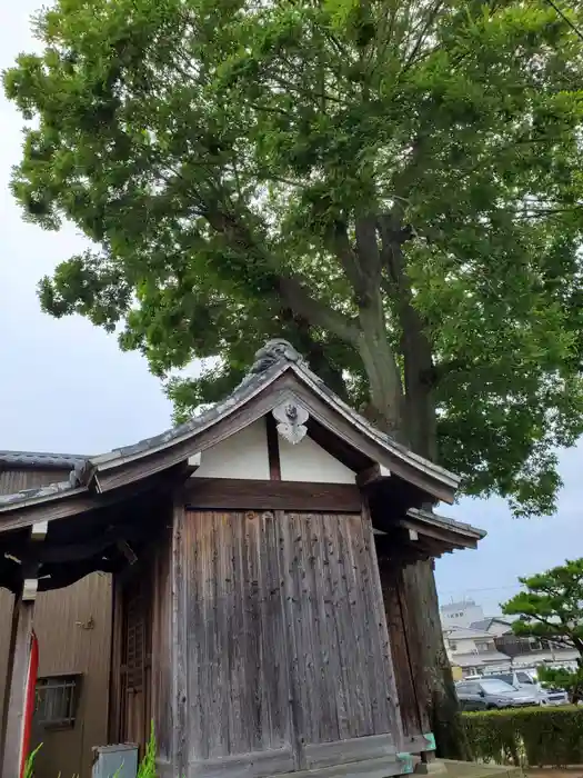 戎神社の本殿