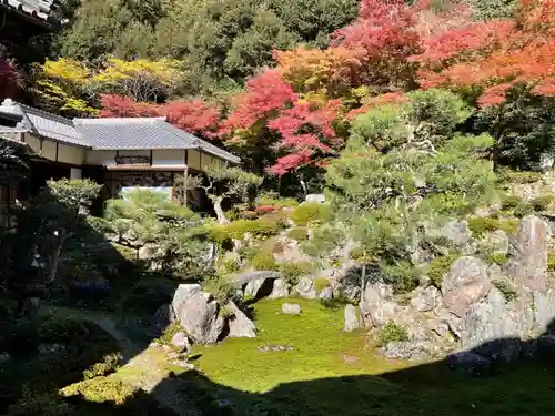 吸湖山　青岸寺の庭園