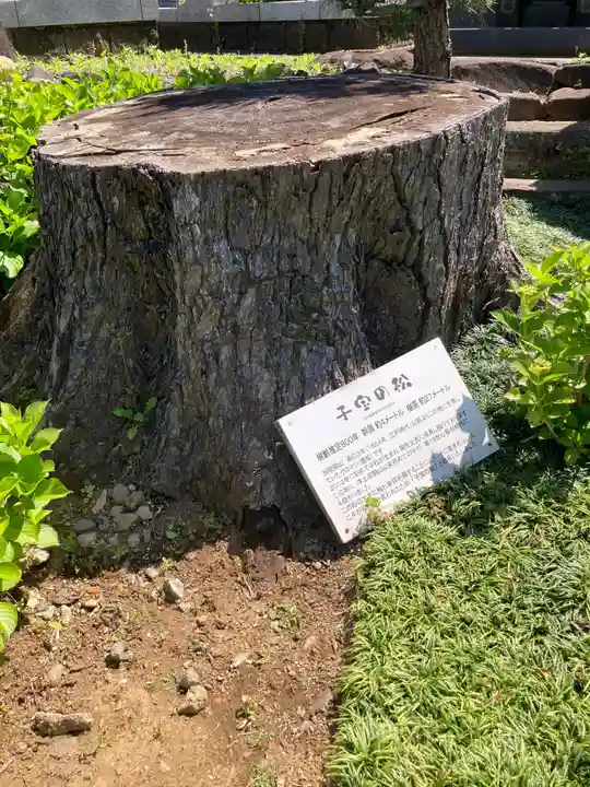 誓欣院(静岡県)