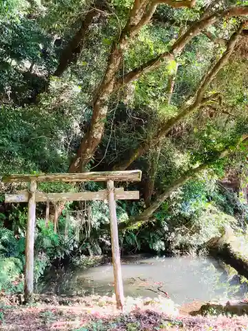 大生の思井戸(茨城県)