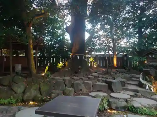 川越氷川神社の庭園