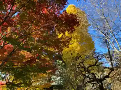 淨眞寺(東京都)
