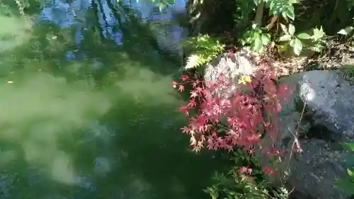 嚴島神社 (京都御苑)の庭園