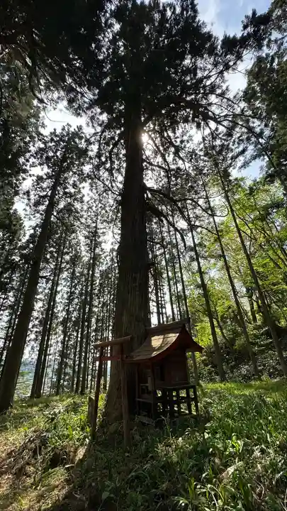 円光寺(山形県)