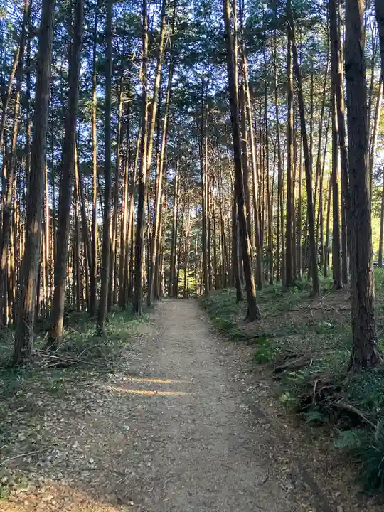 出雲伊波比神社(埼玉県)