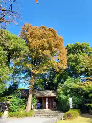 阿佐ヶ谷神明宮(東京都)