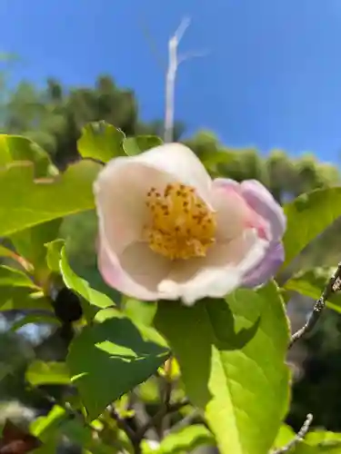 鶴林寺(兵庫県)