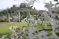 琵琶神社の鳥居