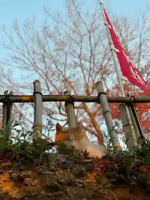 唐澤山神社(栃木県)
