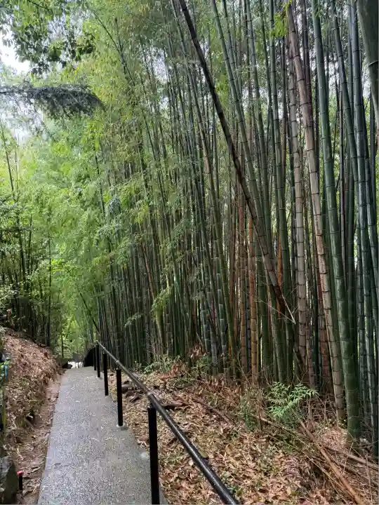 神龍八大龍王神社(熊本県)