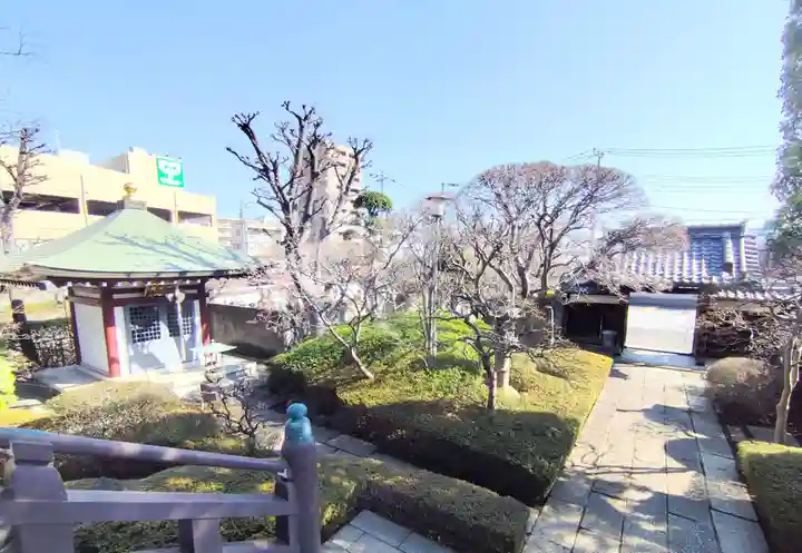 金剛寺(東京都)