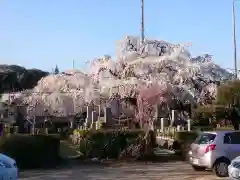 源空院（浅井寺）の自然