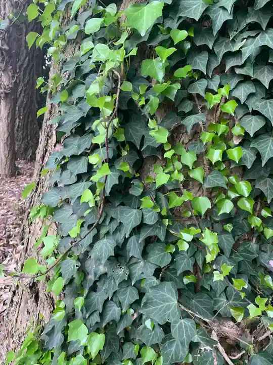 久伊豆神社(埼玉県)