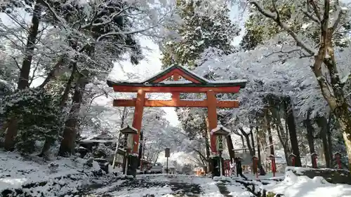 日吉大社の鳥居