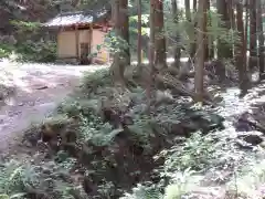 名草厳島神社の自然